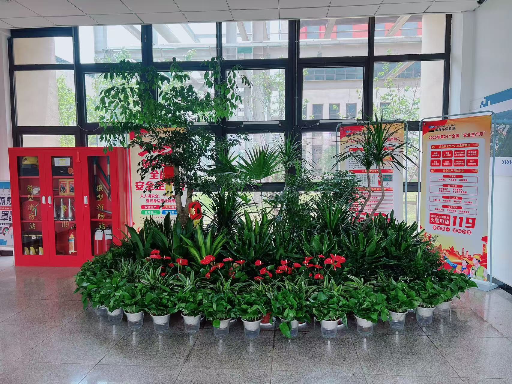 热词推荐！奉化植物租赁公司的贴心绿植服务